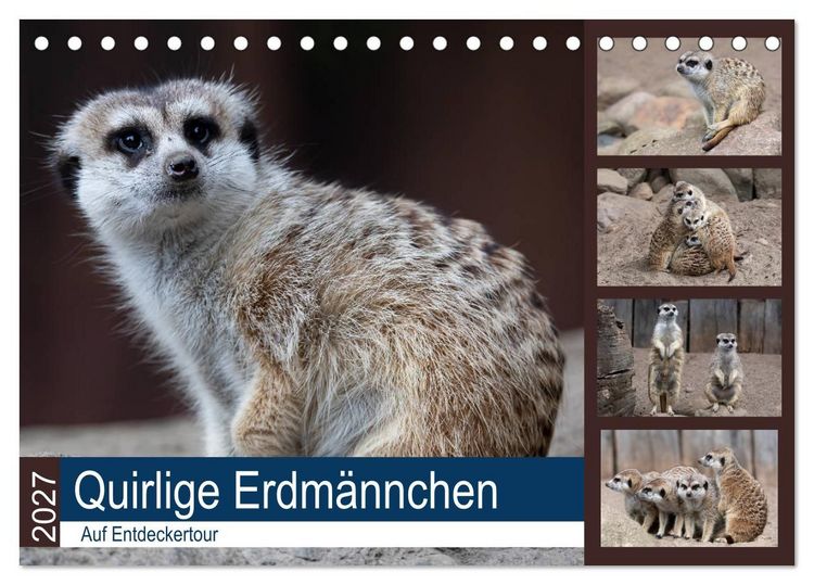 Produktbild: Quirlige Erdm&auml;nnchen (Tischkalender 2027 DIN A5 quer), CALVENDO Monatskalender