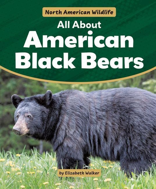 Produktbild: All about American Black Bears