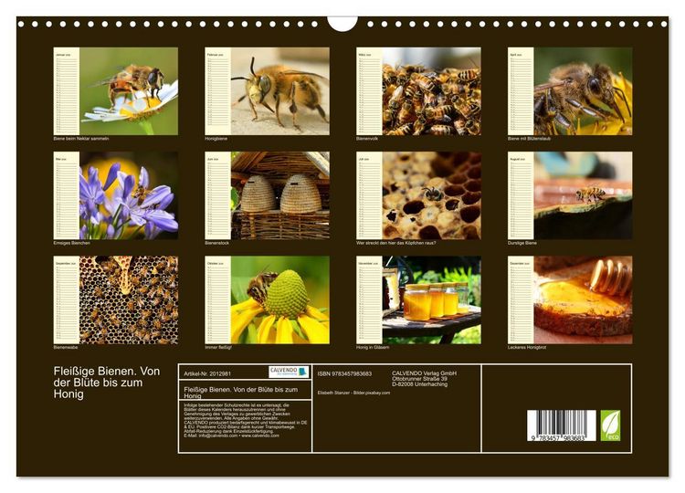 Produktbild: Flei&szlig;ige Bienen. Von der Bl&uuml;te bis zum Honig (Wandkalender 2026 DIN A3 quer), CALVENDO Monatskalender