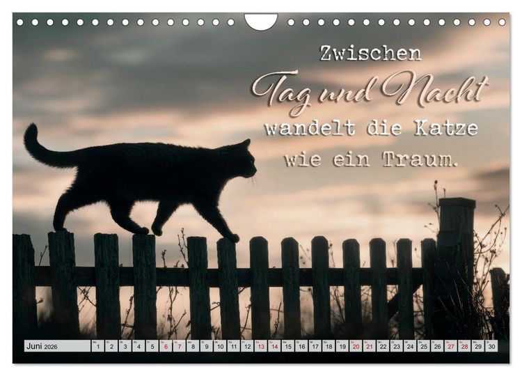 Produktbild: Katzenpoesie - Herzber&uuml;hrende Verse (Wandkalender 2026 DIN A4 quer), CALVENDO Monatskalender
