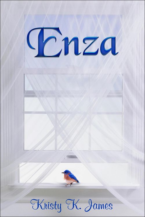 Produktbild: Enza