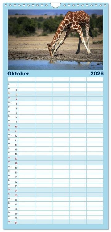 Produktbild: Familienplaner 2026 - Giraffen - Sanftheit und Anmut mit 5 Spalten (Wandkalender, 21 x 45 cm) CALVENDO