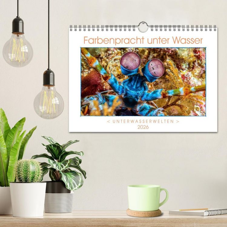 Produktbild: Farbenpracht unter Wasser (Wandkalender 2026 DIN A4 quer), CALVENDO Monatskalender