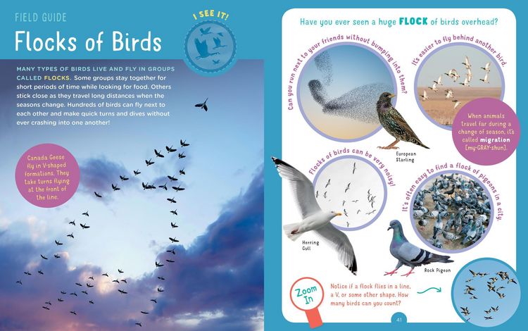 Produktbild: Backpack Explorer: Bird Watch