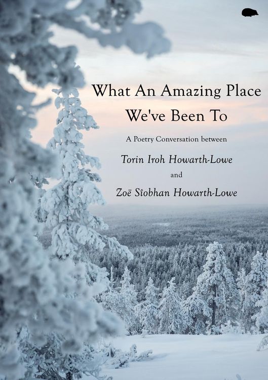 Produktbild: What An Amazing Place We've Been To