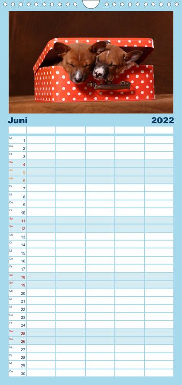 Produktbild: Familienplaner S&uuml;&szlig;e Tr&auml;ume 2022 - schlafende Hundewelpen (Wandkalender 2022 , 21 cm x 45 cm, hoch)