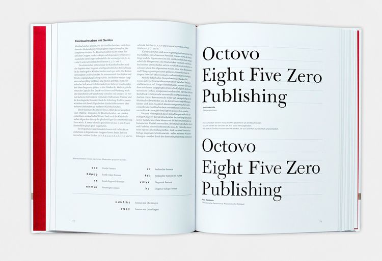 Produktbild: Anatomie der Buchstaben