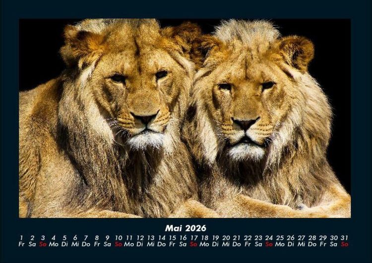 Produktbild: Welt der Tiere 2026 Fotokalender DIN A4
