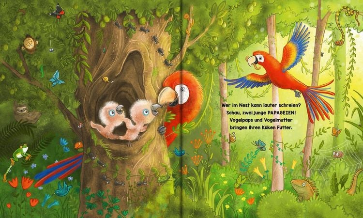 Produktbild: Mein buntes Regenwald Wimmelbuch