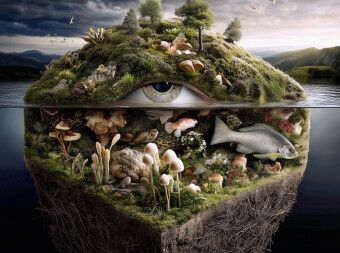 Produktbild: CALVENDO Puzzle Auge der Natur | 2000 Teile Lege-Gr&ouml;&szlig;e 90x67cm Foto-Puzzle f&uuml;r gl&uuml;ckliche Stunden
