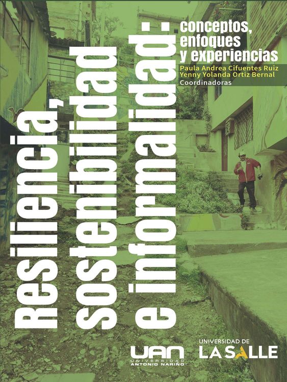 Produktbild: Resiliencia, sostenibilidad e informalidad