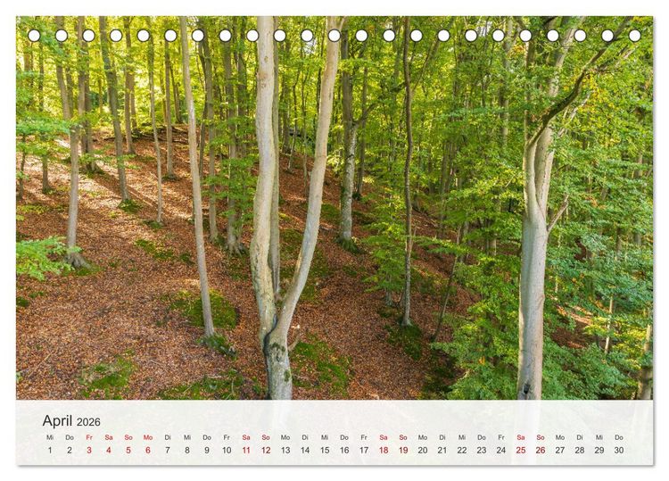 Produktbild: Nat&uuml;rliches R&uuml;gen und Hiddensee (Tischkalender 2026 DIN A5 quer), CALVENDO Monatskalender