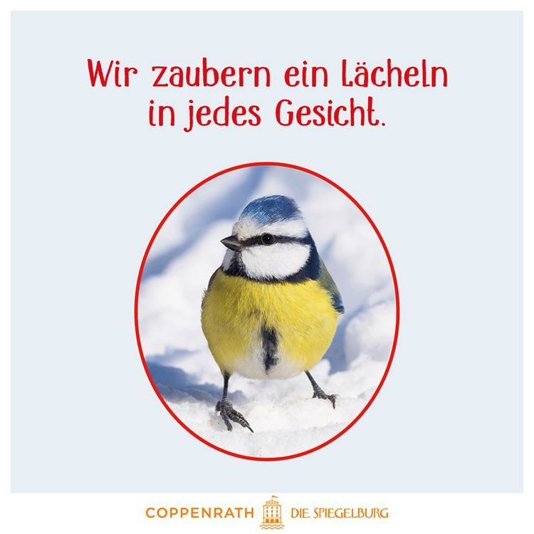 Produktbild: V&ouml;gel im Winter bei dir zu Gast