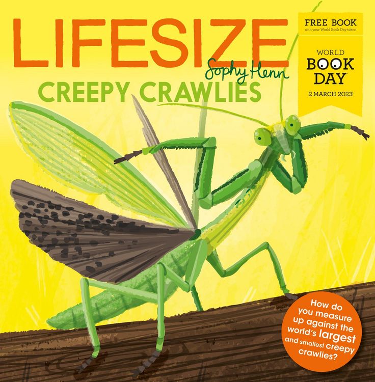 Produktbild: Lifesize Creepy Crawlies: World Book Day 2023