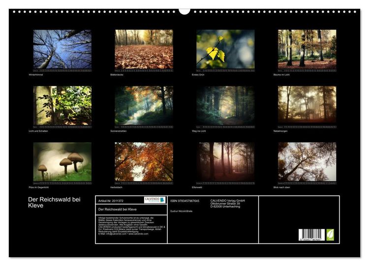 Produktbild: Der Reichswald bei Kleve (Wandkalender 2026 DIN A2 quer), CALVENDO Monatskalender