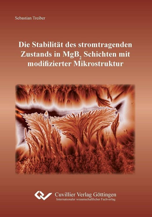 Produktbild: Die Stabilit&auml;t des stromtragenden Zustands in MgB2 Schichten mit modifizierter Mikrostruktur