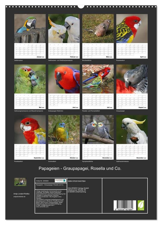 Produktbild: Papageien - Graupapagei, Rosella und Co. (hochwertiger Premium Wandkalender 2026 DIN A2 hoch), Kunstdruck in Hochglanz