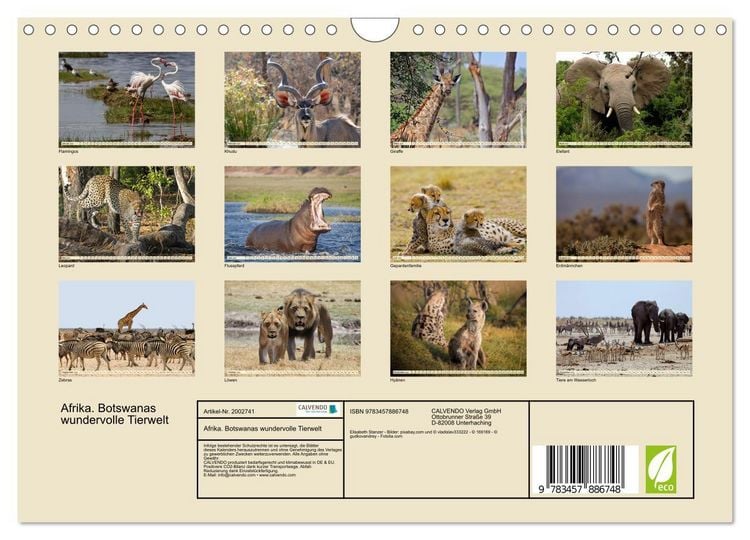 Produktbild: Afrika. Botswanas wundervolle Tierwelt (Wandkalender 2026 DIN A4 quer), CALVENDO Monatskalender