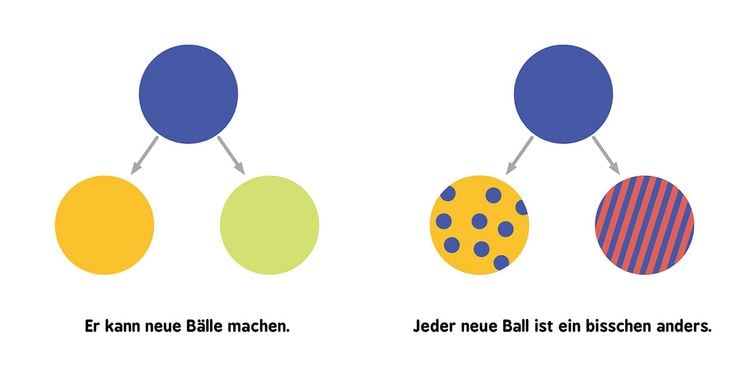 Produktbild: Baby-Universit&auml;t - Evolution f&uuml;r Babys