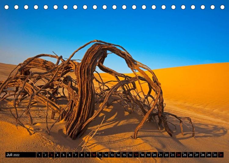 Produktbild: Sand, Felsen und Packeis. Wei&szlig;e W&uuml;ste (Tischkalender 2022 DIN A5 quer)