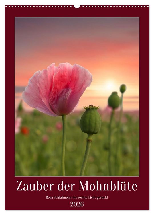 Produktbild: Zauber der Mohnbl&uuml;te (Wandkalender 2026 DIN A2 hoch), CALVENDO Monatskalender