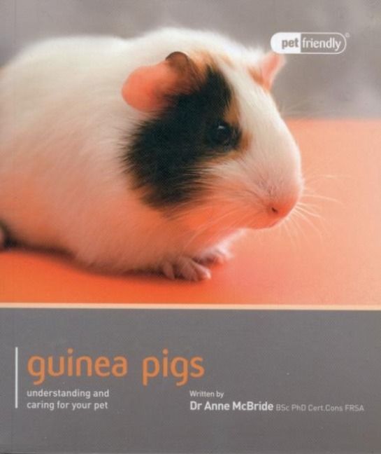 Produktbild: Guinea Pig - Pet Friendly