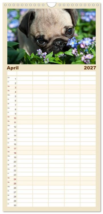 Produktbild: Familienplaner 2027 - Mops mit 5 Spalten (Wandkalender, 21 x 45 cm) CALVENDO