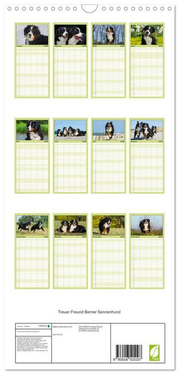 Produktbild: Familienplaner 2026 - Treuer Freund Berner Sennenhund mit 5 Spalten (Wandkalender, 21 x 45 cm) CALVENDO