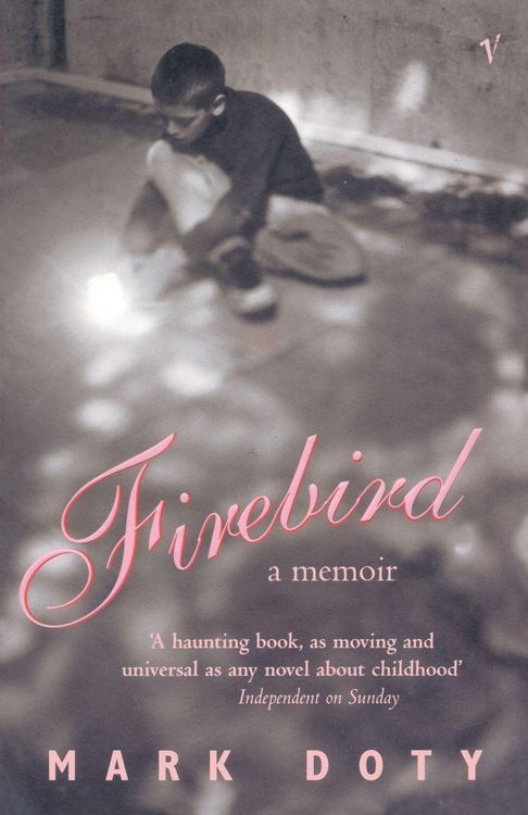 Produktbild: Firebird