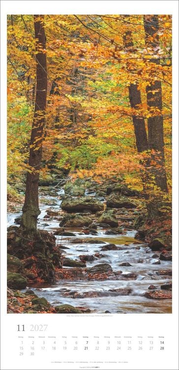 Produktbild: Im Wald Kalender 2027