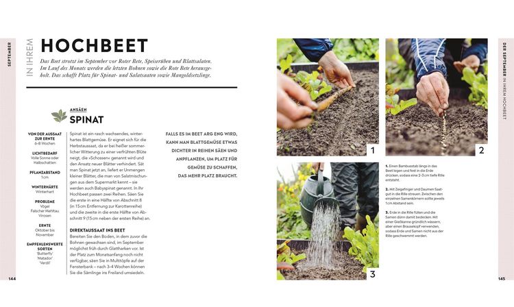 Produktbild: Hochbeet
