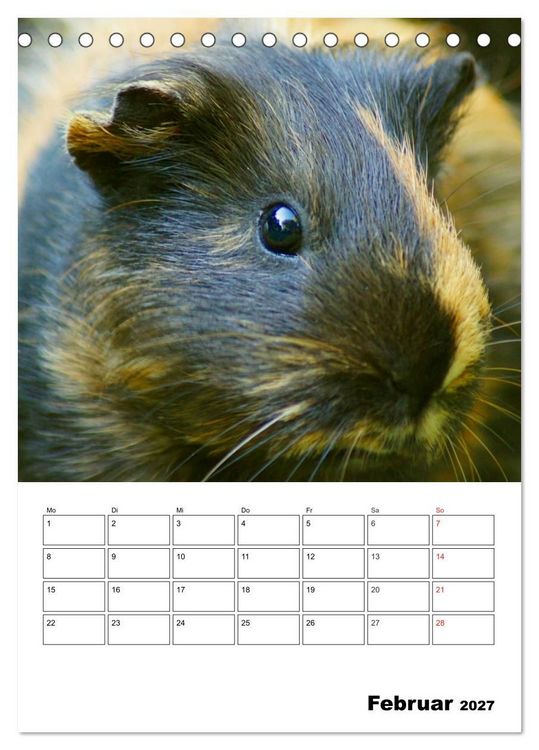 Produktbild: Meerschweinchen Terminplaner (Tischkalender 2027 DIN A5 hoch), CALVENDO Monatskalender
