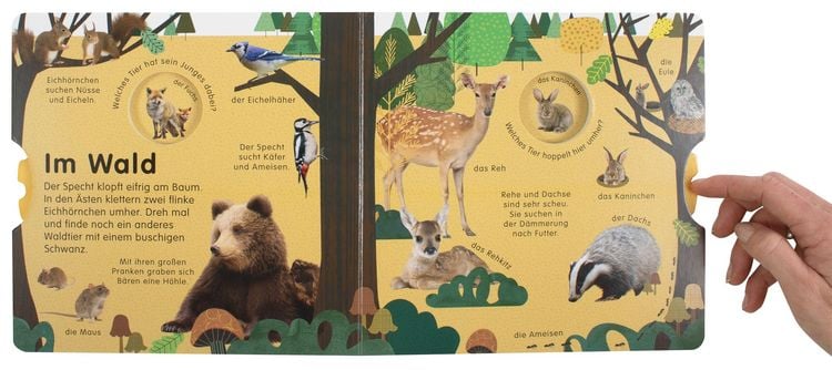 Produktbild: Erstes Lernen Drehen. So viele Tiere