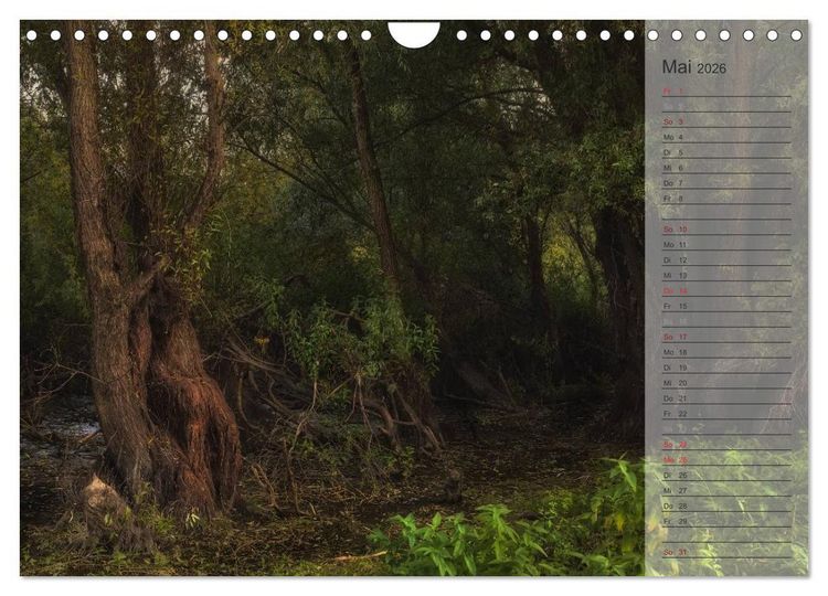 Produktbild: Unser Wald - Magische Sichten in norddeutsche W&auml;lder / Geburtstagskalender (Wandkalender 2026 DIN A4 quer), CALVENDO Monatskalender