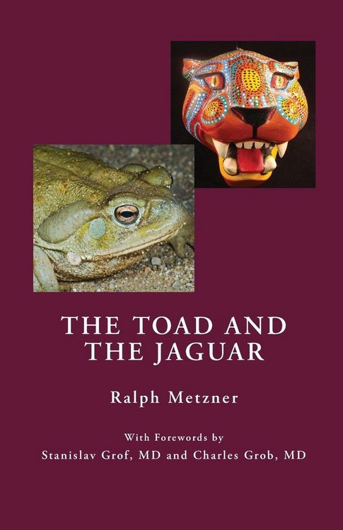 Produktbild: The Toad and the Jaguar