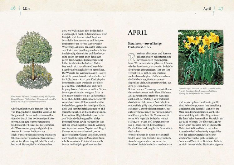 Produktbild: Geheimnisse aus dem Klostergarten