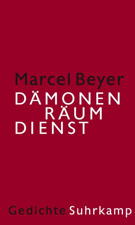 Produktbild: D&auml;monenr&auml;umdienst