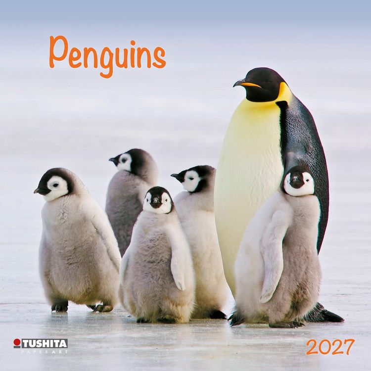 Produktbild: Penguins 2027