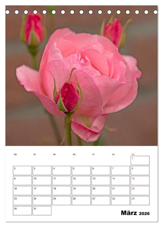 Produktbild: Zauberhafte Rosen (Tischkalender 2026 DIN A5 hoch), CALVENDO Monatskalender