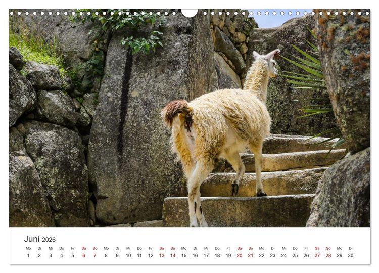 Produktbild: Macchu Picchu (Wandkalender 2026 DIN A3 quer), CALVENDO Monatskalender