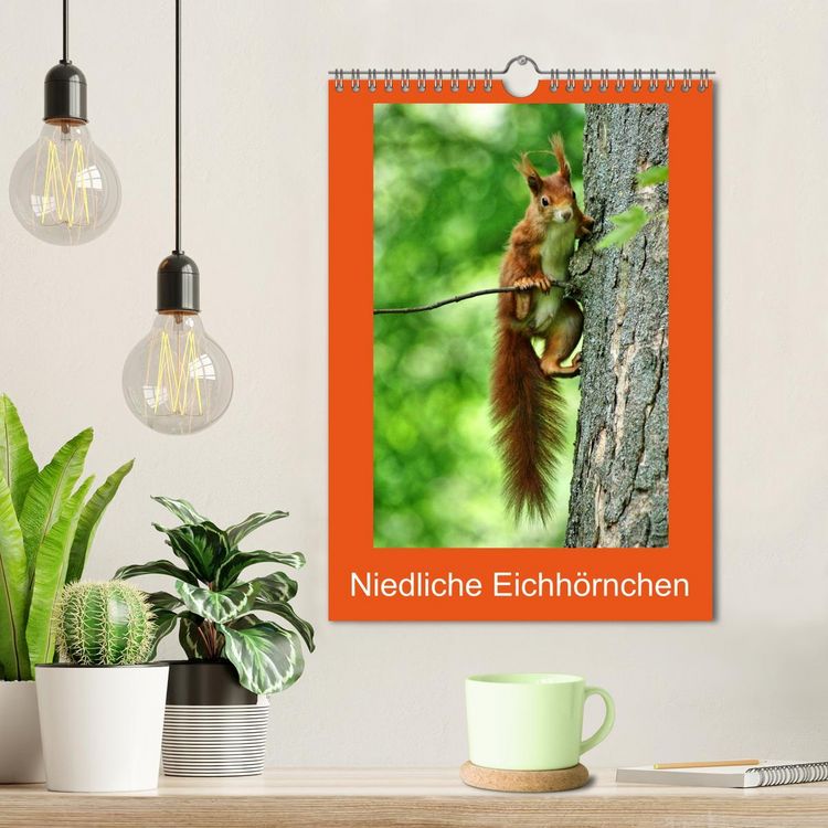 Produktbild: Niedliche Eichh&ouml;rnchen (Wandkalender 2026 DIN A4 hoch), CALVENDO Monatskalender