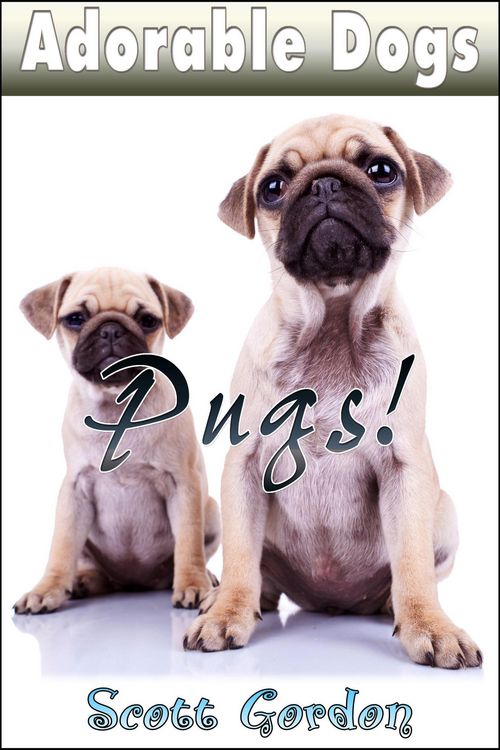 Produktbild: Adorable Dogs: Pugs