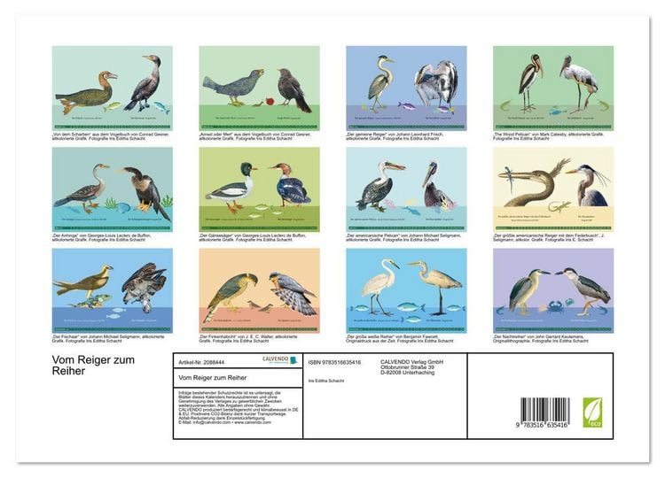 Produktbild: Vom Reiger zum Reiher (hochwertiger Premium Wandkalender 2026 DIN A2 quer), Kunstdruck in Hochglanz