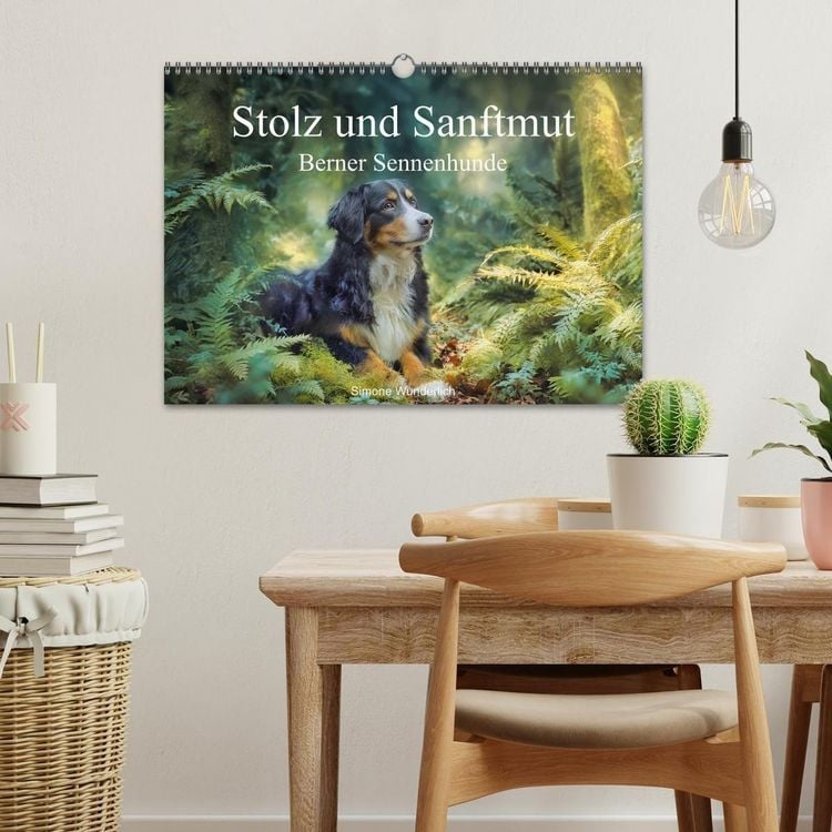 Produktbild: Stolz und Sanftmut - Berner Sennenhunde (Wandkalender 2027 DIN A3 quer), CALVENDO Monatskalender