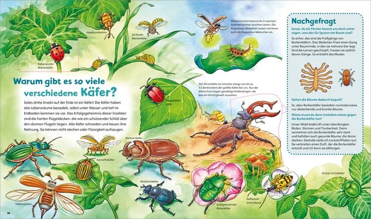Produktbild: WAS IST WAS Junior Band 33. Insekten