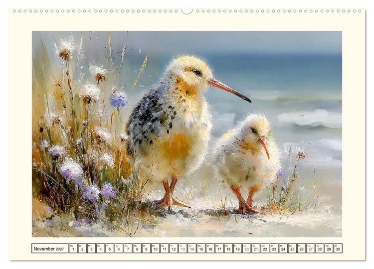 Produktbild: Entz&uuml;ckende Kiwis. Neuseelands kleiner Laufvogel am Meer (hochwertiger Premium Wandkalender 2027 DIN A2 quer), Kunstdruck in Hochglanz