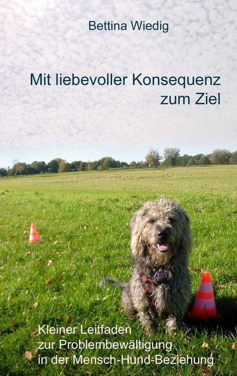 Produktbild: Mit liebevoller Konsequenz zum Ziel
