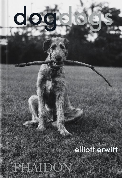 Bild vom Artikel DogDogs vom Autor Elliott Erwitt
