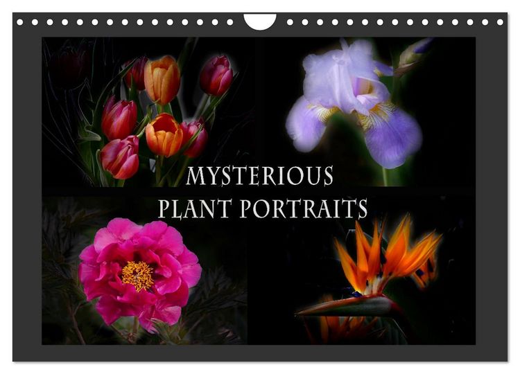 Produktbild: Mysterious plant portraits (Wall Calendar 2026 DIN A4 landscape), CALVENDO 12 Month Wall Calendar