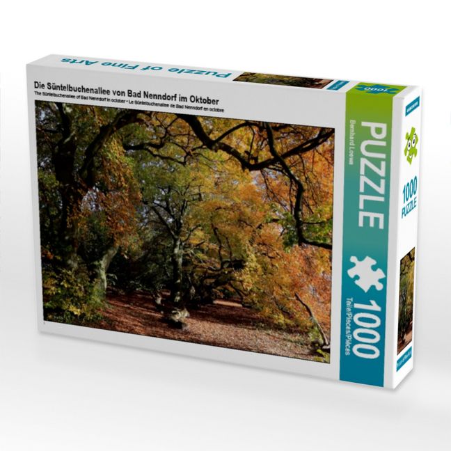 Produktbild: CALVENDO Puzzle Die S&uuml;ntelbuchenallee von Bad Nenndorf im Oktober | 1000 Teile Lege-Gr&ouml;&szlig;e 64x48cm Foto-Puzzle f&uuml;r gl&uuml;ckliche Stunden